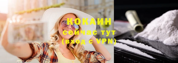 экстази Дмитриев