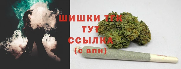 экстази Дмитриев