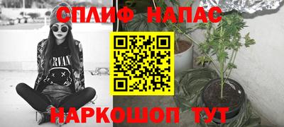 скорость Гатчина