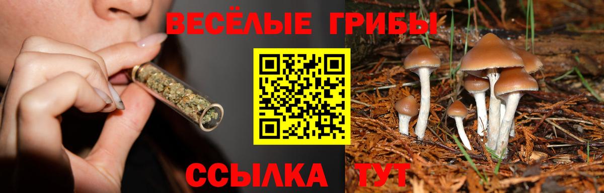 Псилоцибиновые грибы мицелий Зеленокумск